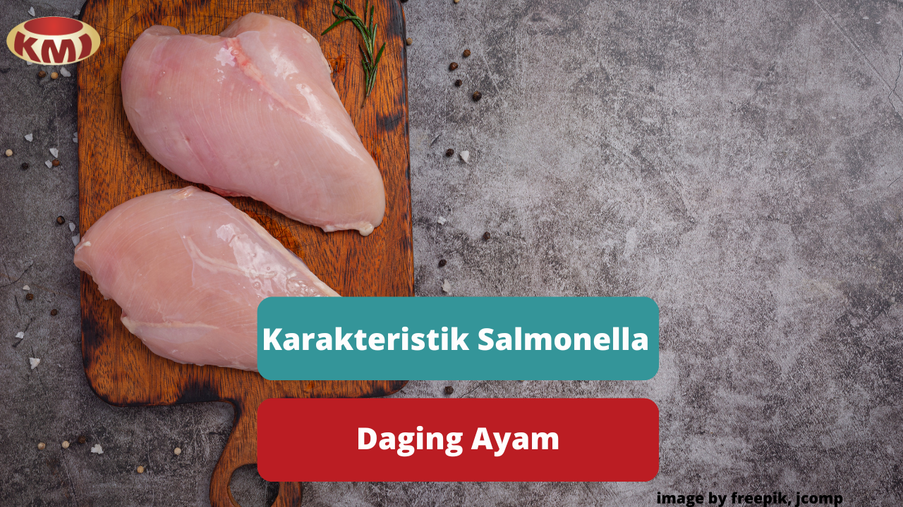 Berikut Ini Penjelasan Terkait Karakteristik Salmonella Pada Daging Ayam